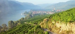 Zeige Produkte für Kategorie Weine - Wachau Bild für Kategorie Weine - Wachau